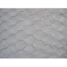 Galvanized Hexagonal Wire Mesh 1/2" to 2"